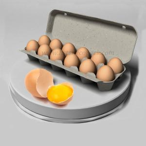 Recycled 12 cells egg carton